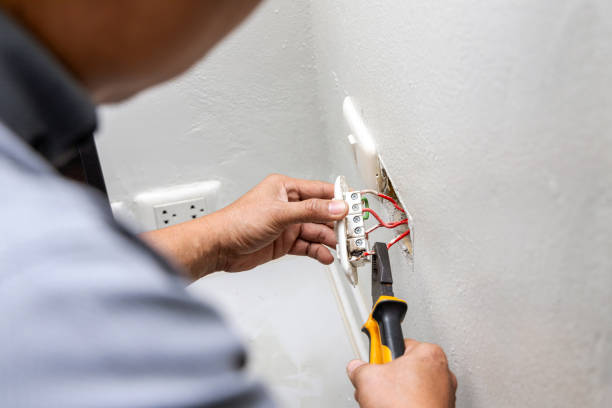 Best Electrical Rewiring Services  in Inkster, MI